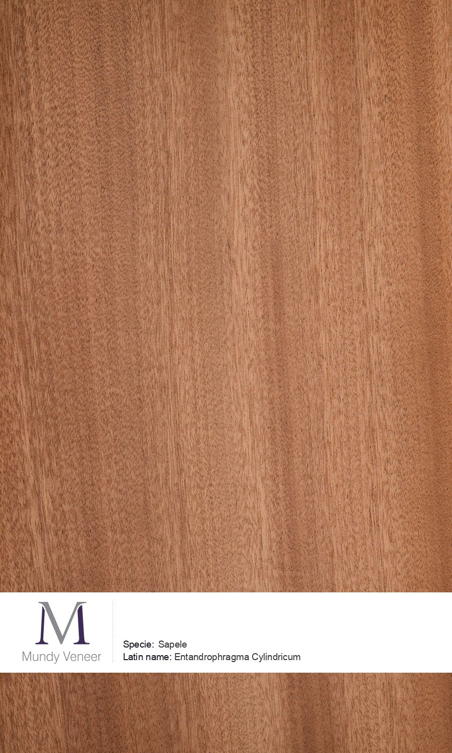 Sapele