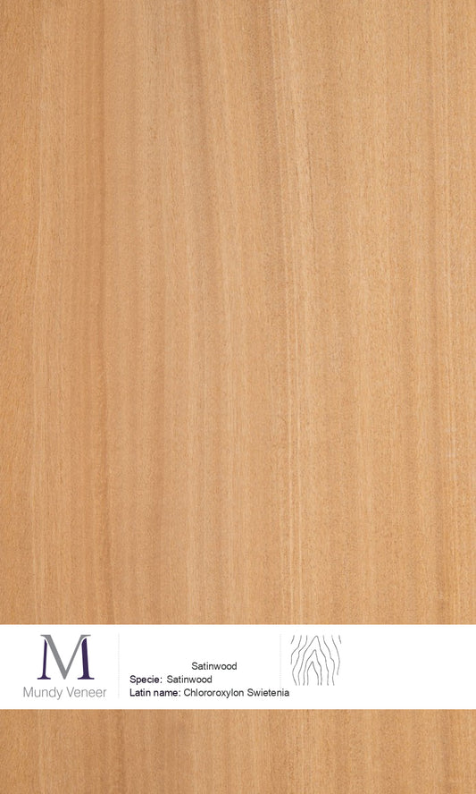 Satinwood
