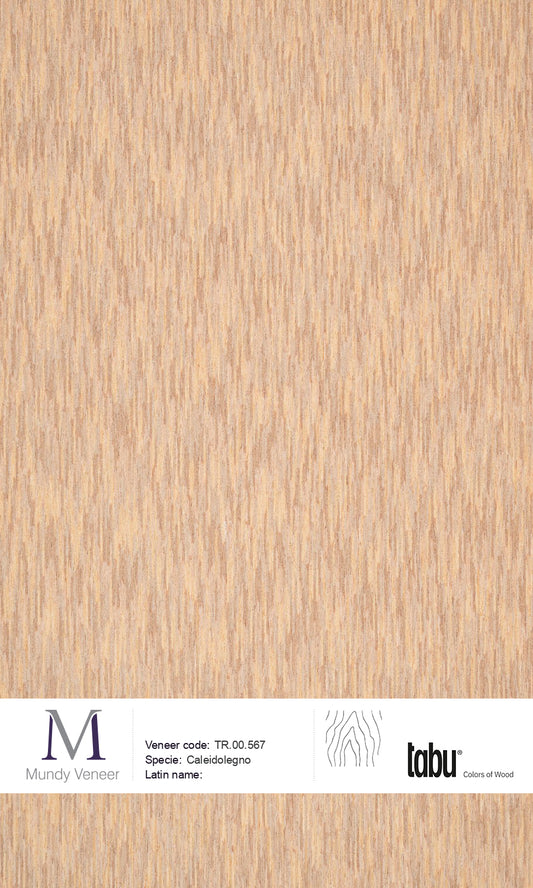 TR.00.567, Caleidolegno