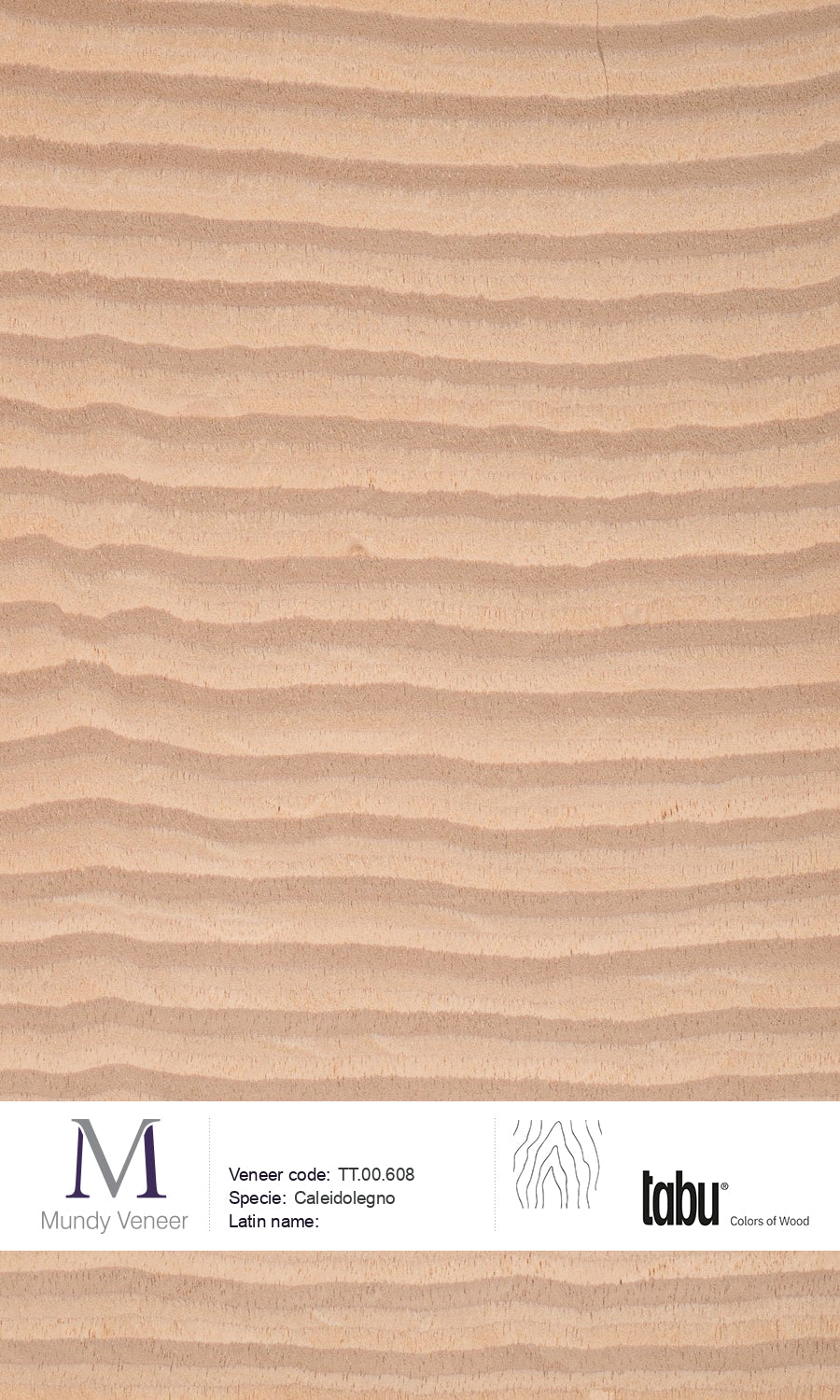 TT.00.608, Caleidolegno