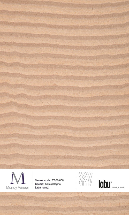 TT.00.608, Caleidolegno