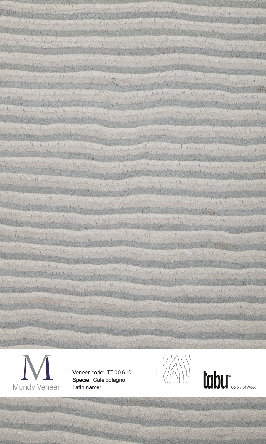 TT.00.610, Caleidolegno