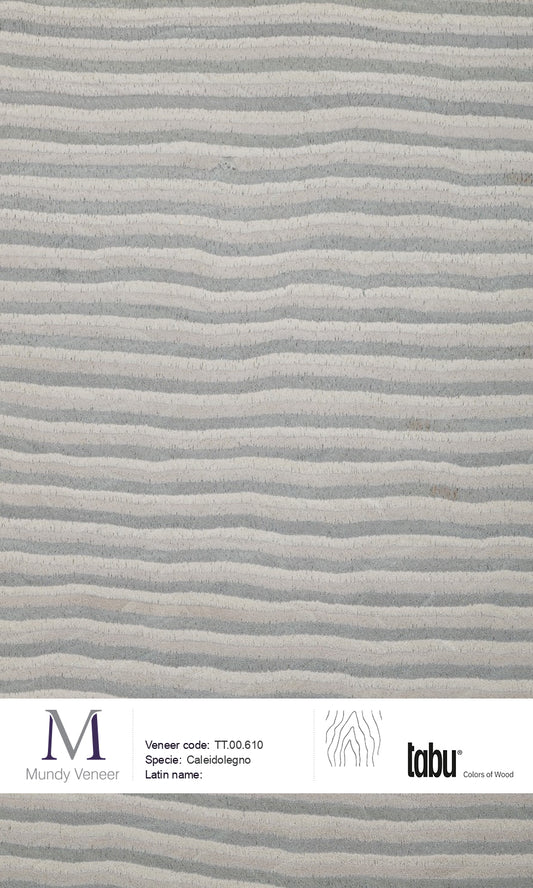 TT.00.610, Caleidolegno