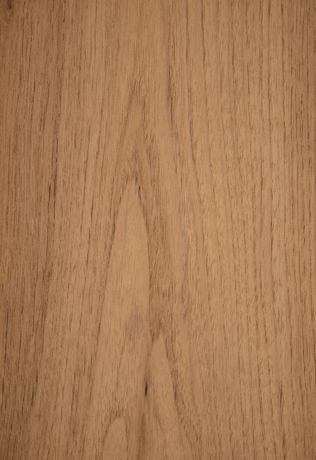 Teak Golden Plain