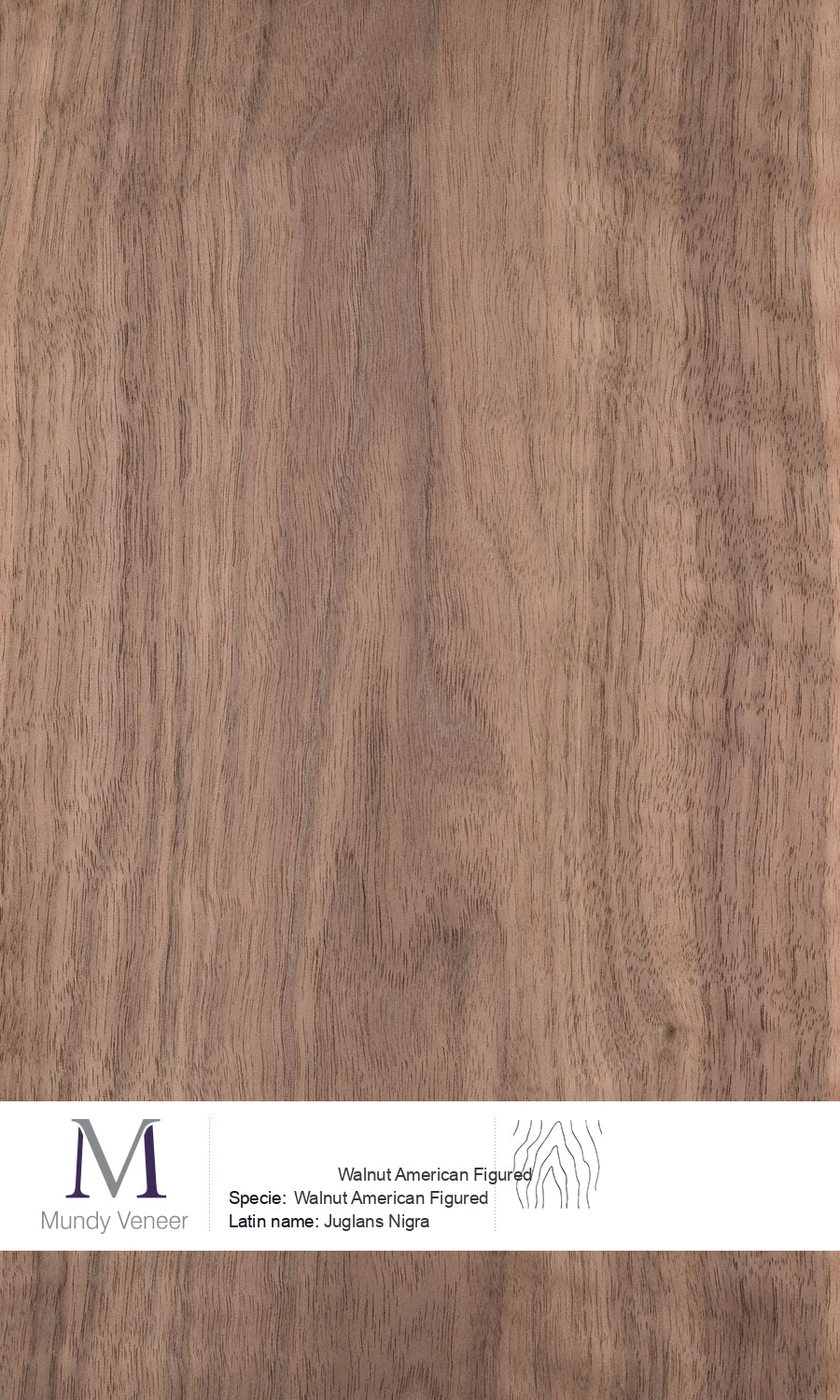 Walnut American Figured