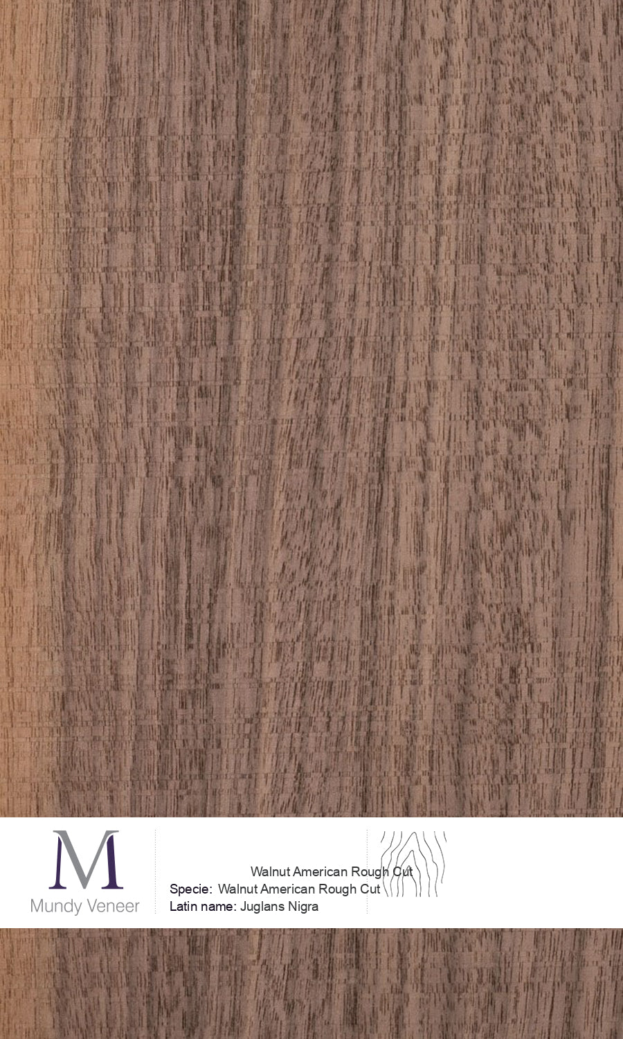 Walnut American Rough Cut