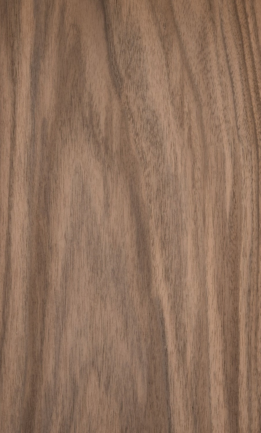 Walnut European