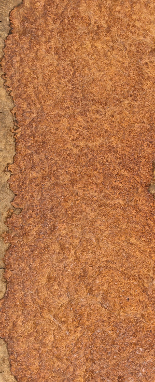 Amboyna Burr
