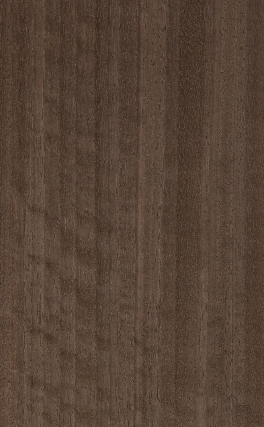 E5.S.016, Eucalyptus Figured