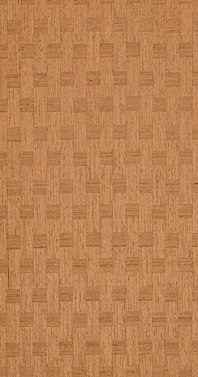 ER.00.296, Caleidolegno