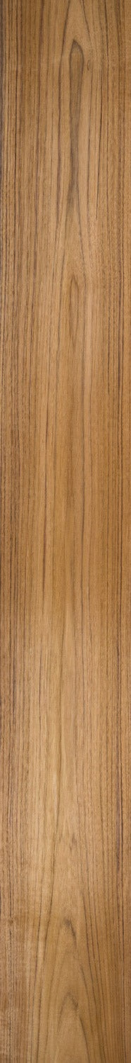 Teak Plantation
