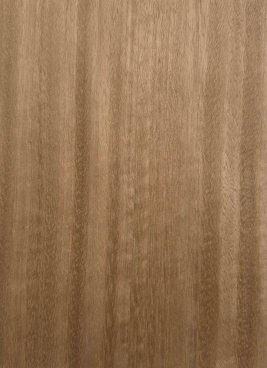 E5.118, Eucalyptus