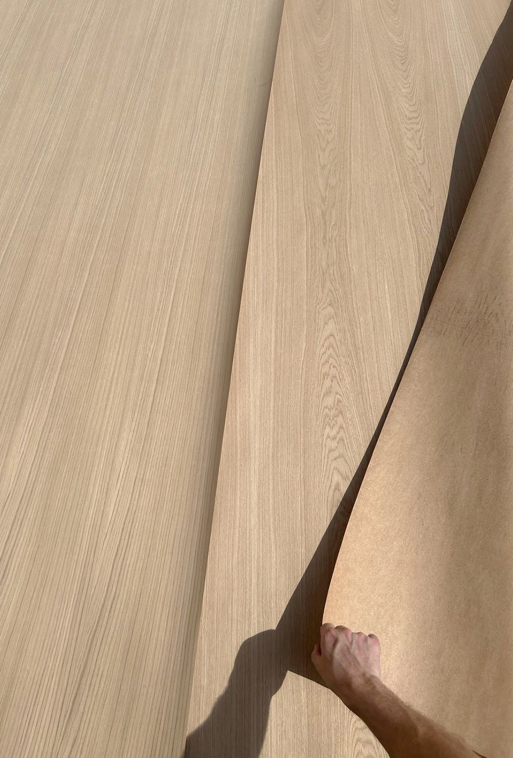 European Oak Layon - Crown