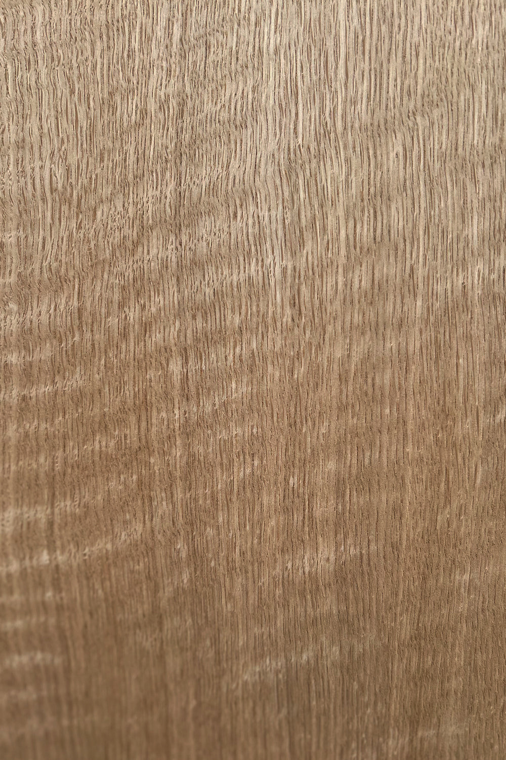 Oak European Figured