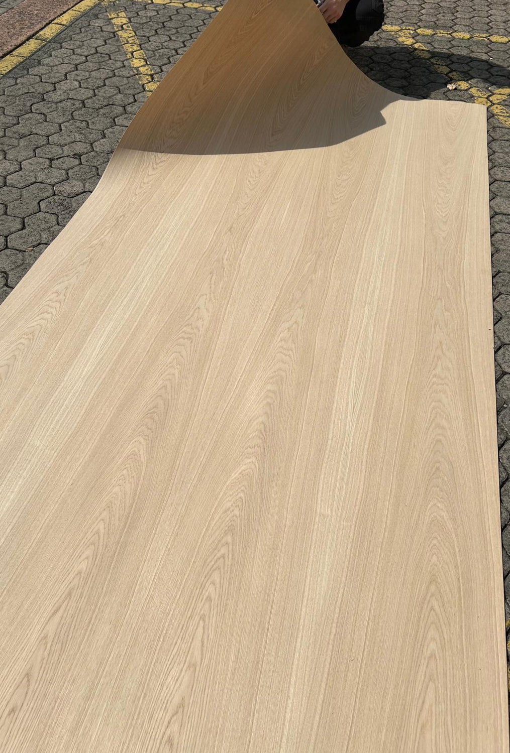 European Oak Layon - Crown