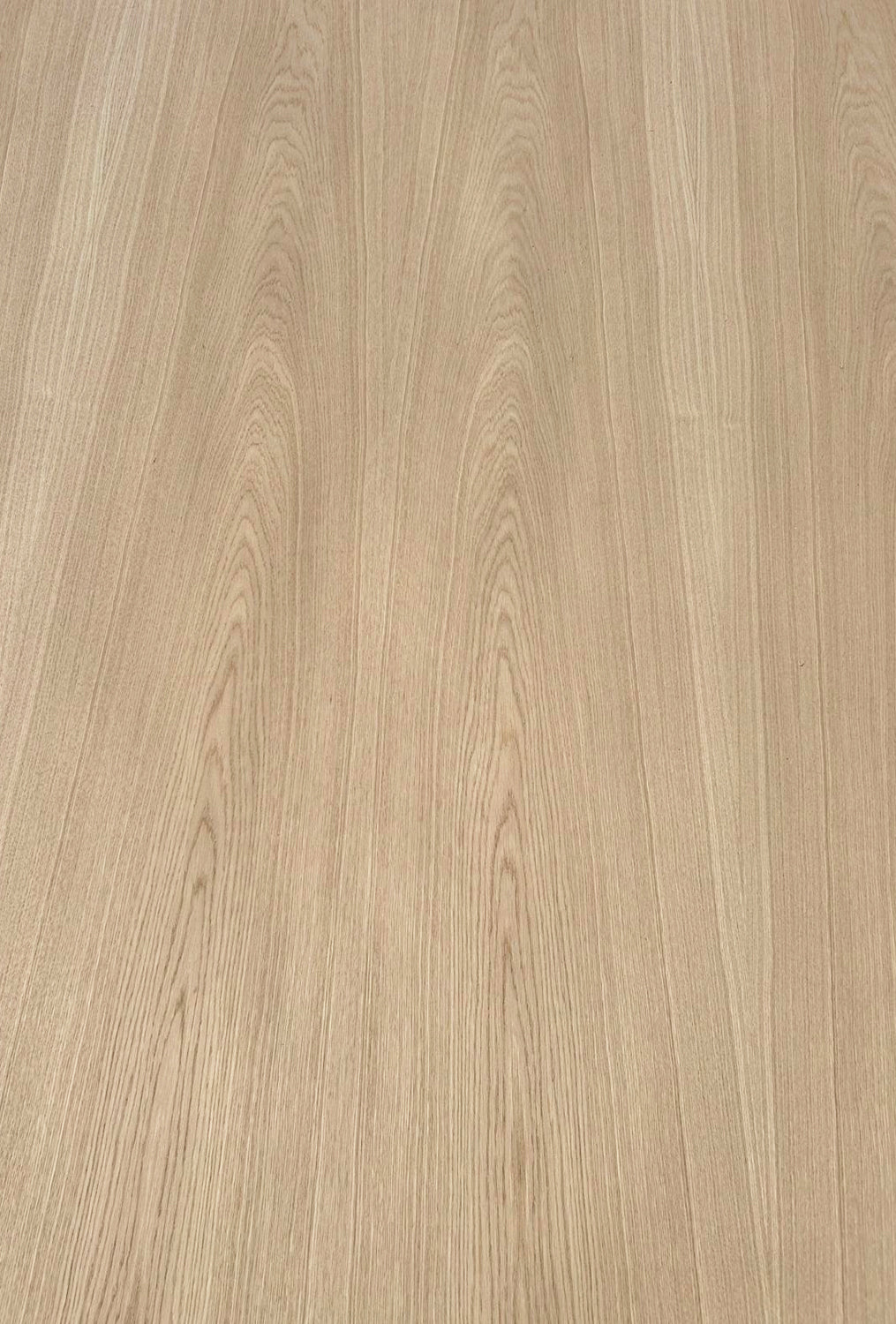 European Oak Layon - Crown
