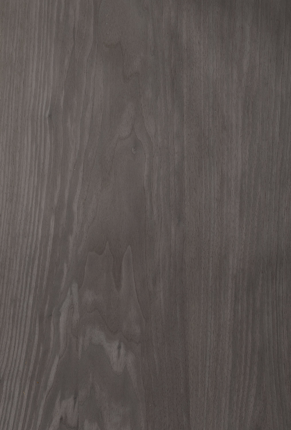 WX001 Walnut Umber