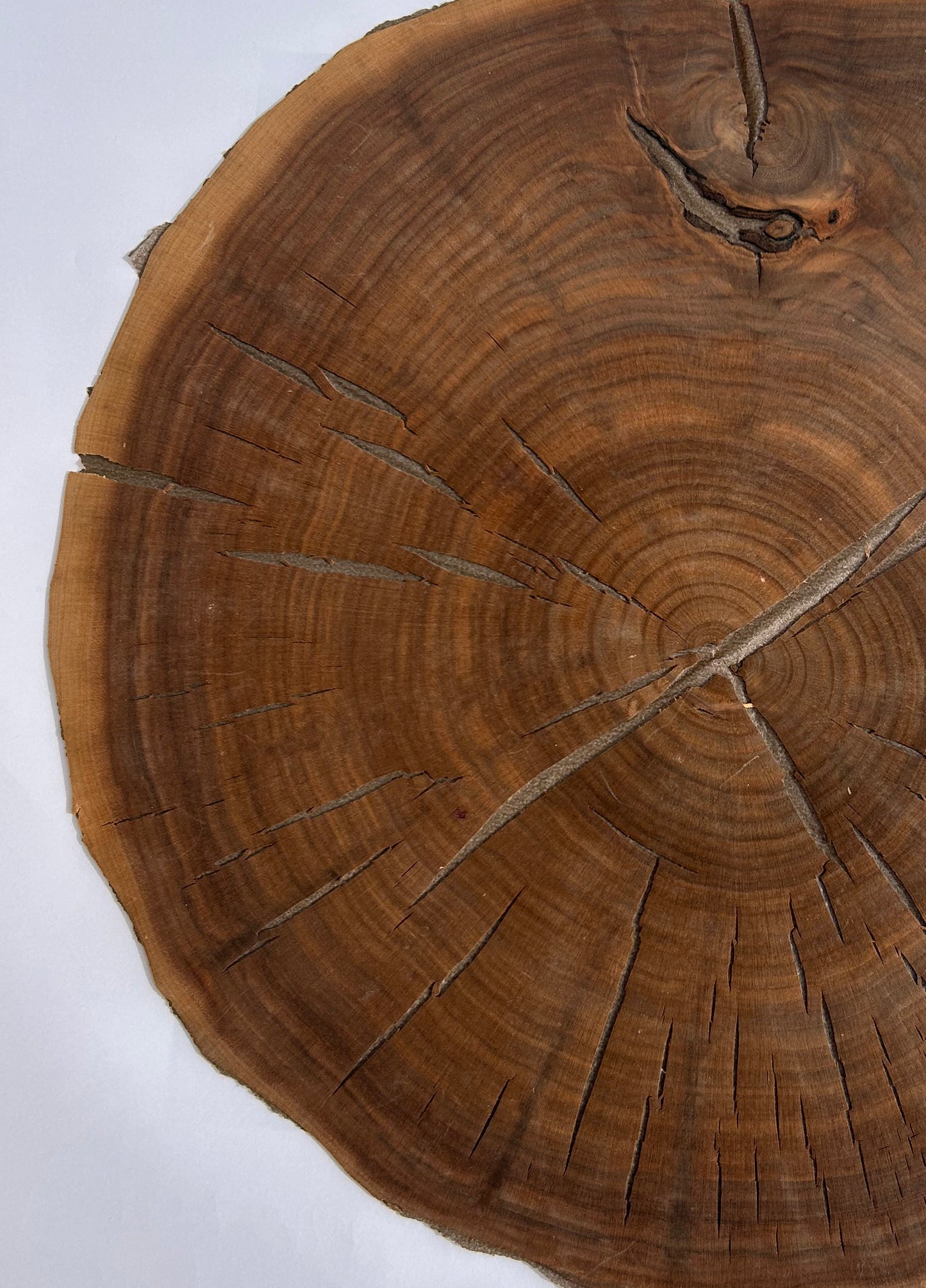 Walnut End Grain