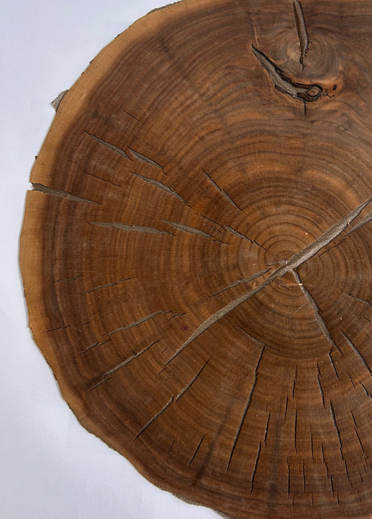 Walnut End Grain