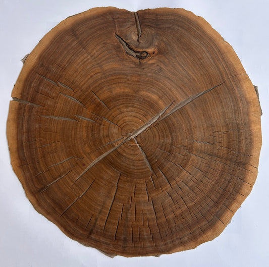 Walnut End Grain