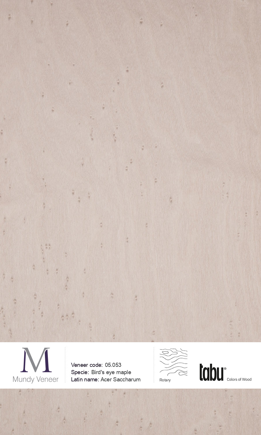 Bird Maple 05.053, Bird’s Eye Maple – Mundy Veneer