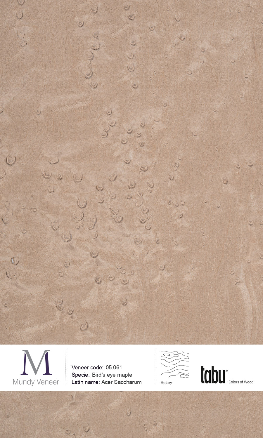 Bird Maple 05.061, Bird’s Eye Maple – Mundy Veneer