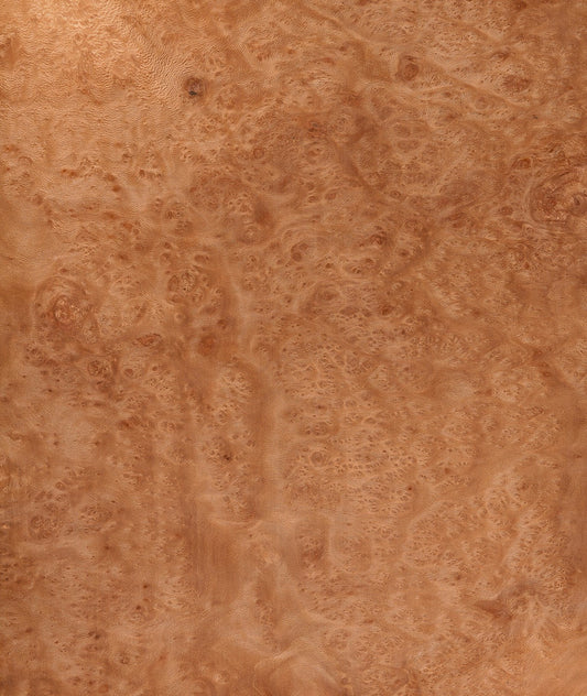 Plane Tree Burr
