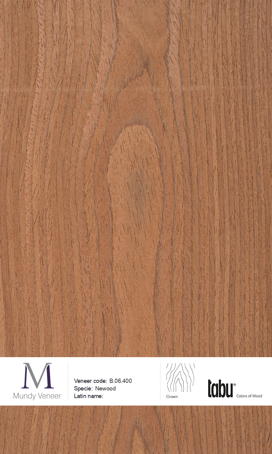B.06.400, Newood Wood Veneer | Natural Dyed Premium Veneer | Mundy Veneer