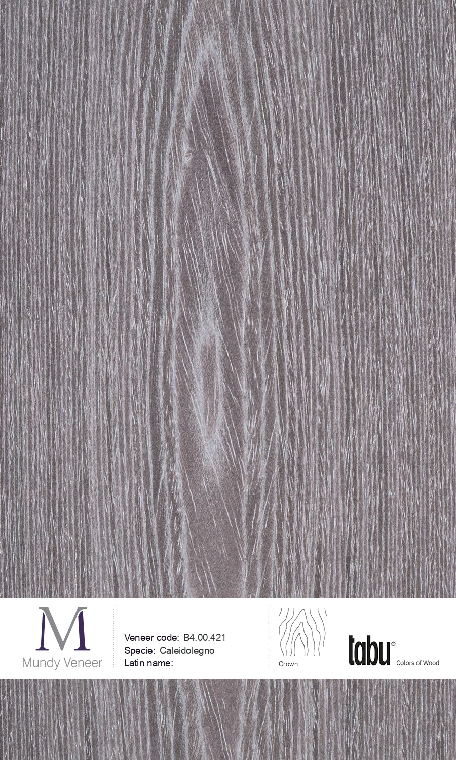 B4 00 421 Caleidolegno Mundy Veneer b4-00-421-caleidolegno-mundy-veneer