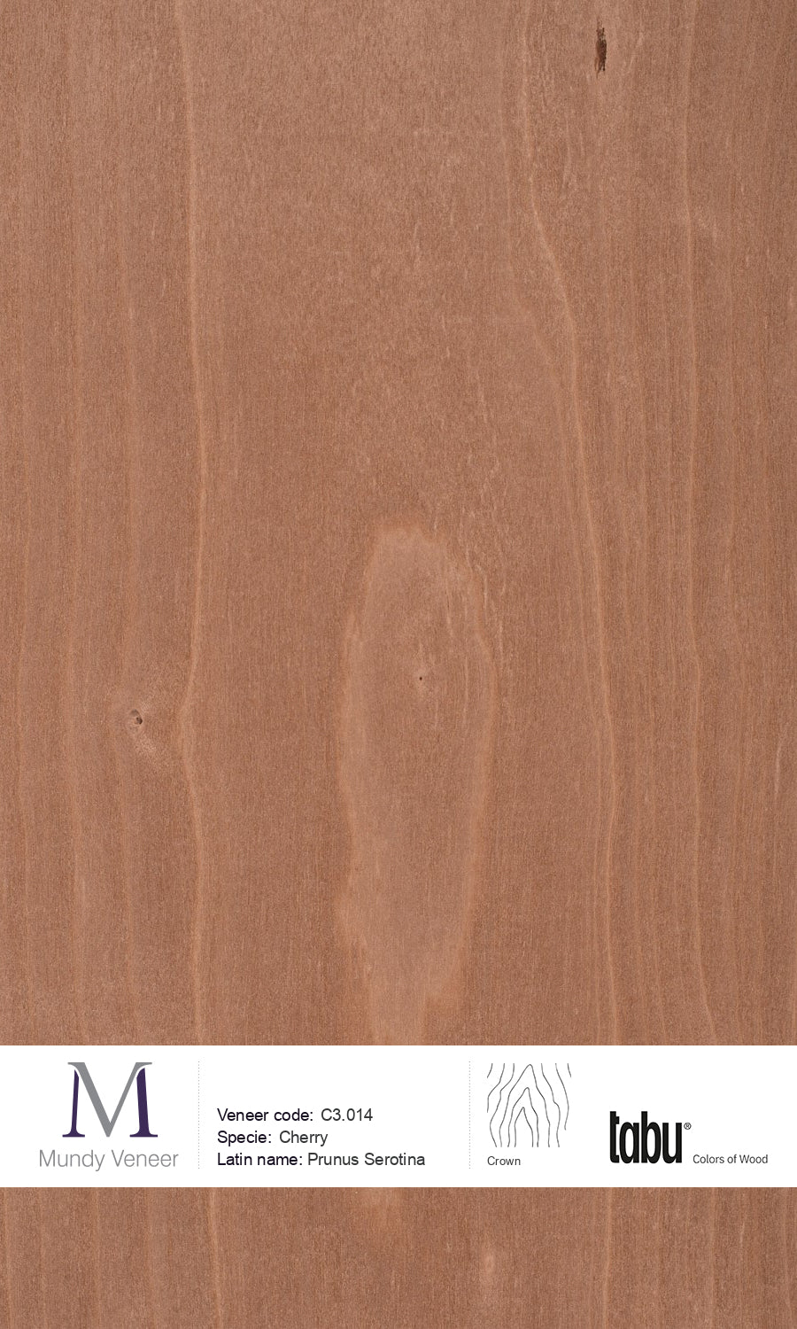 C3.014, Cherry Wood Veneer | Natural Dyed Premium Veneer | Mundy Veneer