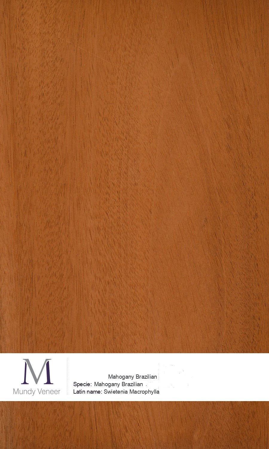 Mahogany Brazilian – Mundy Veneer