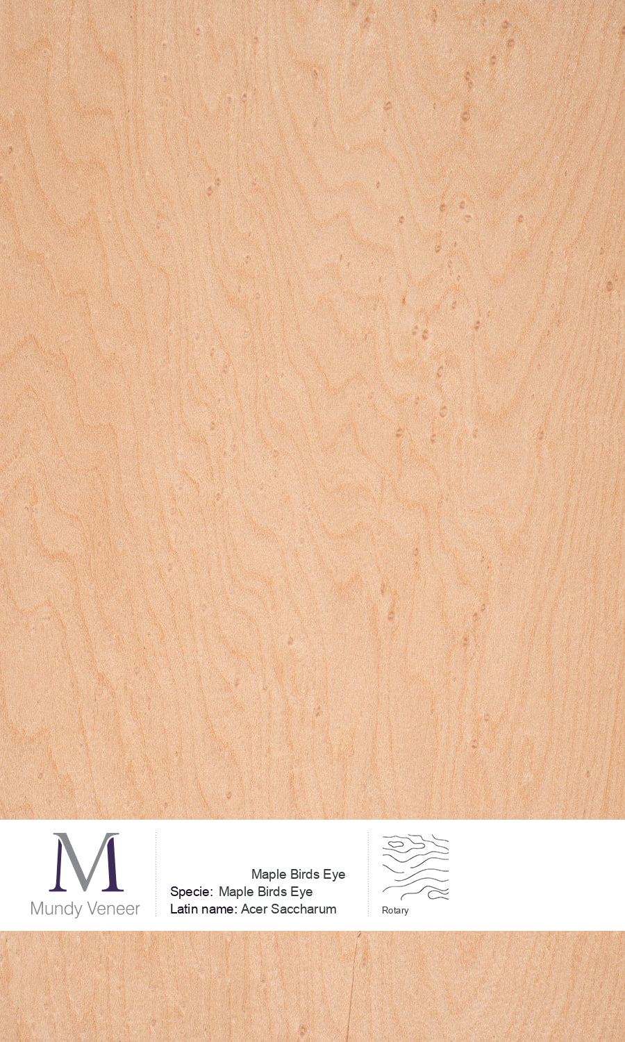 Bird’s Eye Maple – Mundy Veneer
