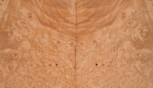 Maple Burr
