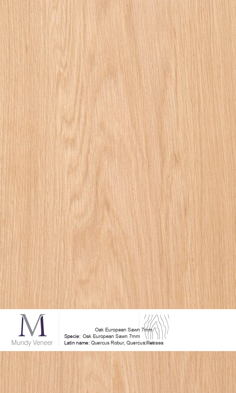 Oak European Sawn Mundy Veneer