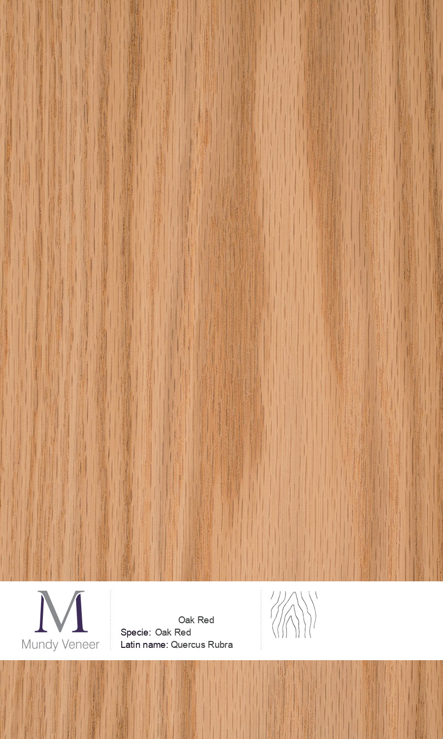 Oak Red – Mundy Veneer