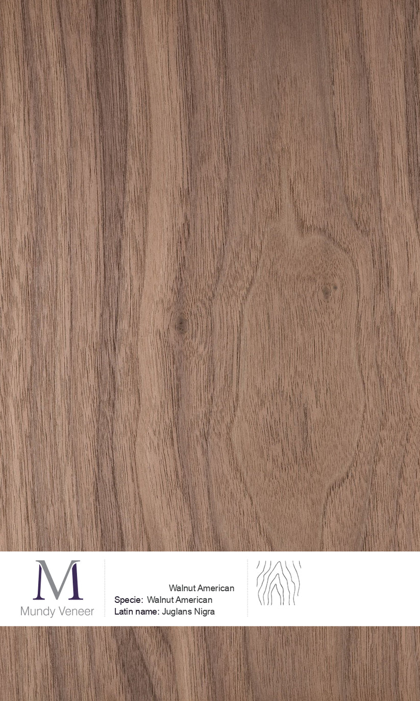 Walnut American – Mundy Veneer