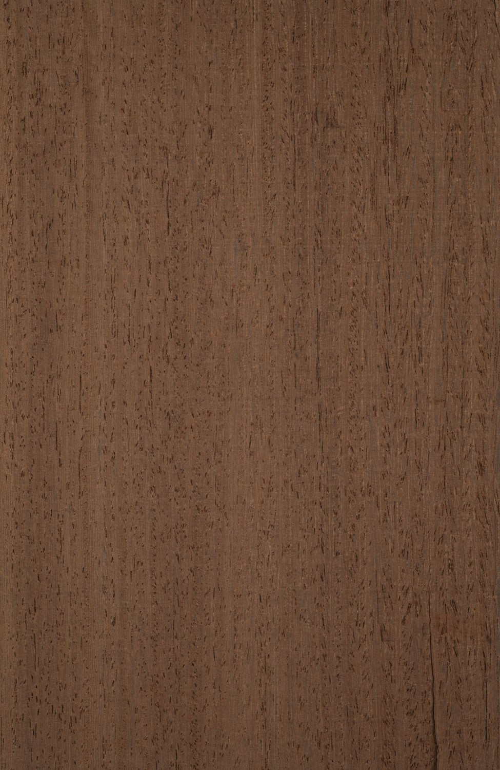 Wenge