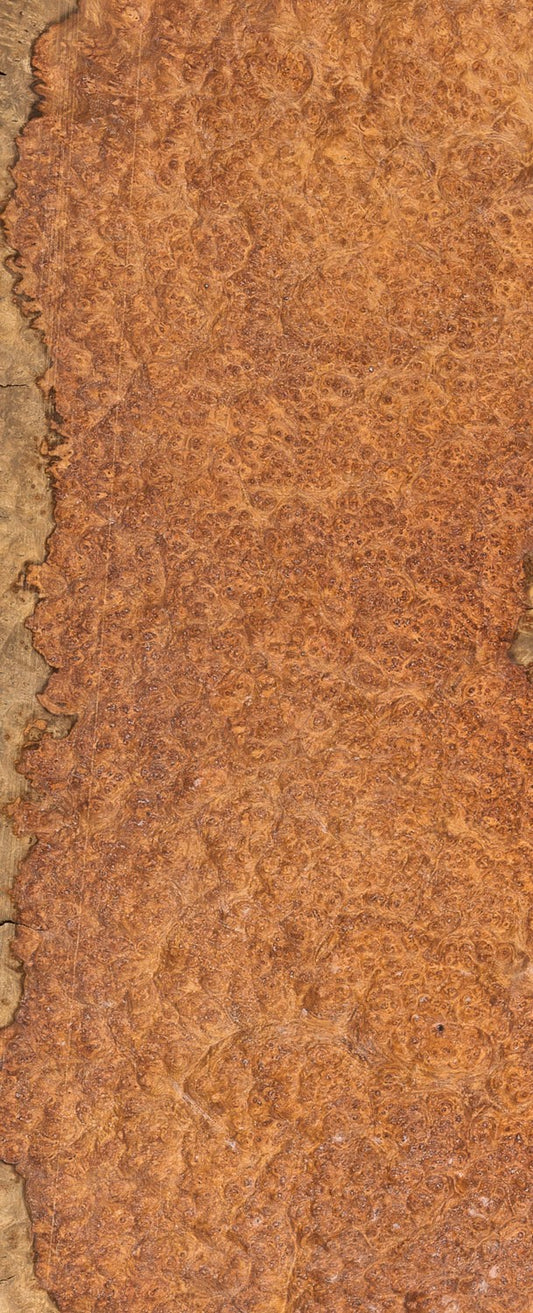 Amboyna Burr